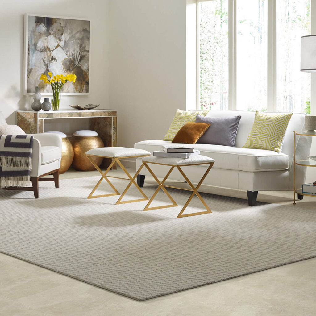 Living Room Rugs | Magic Carpets