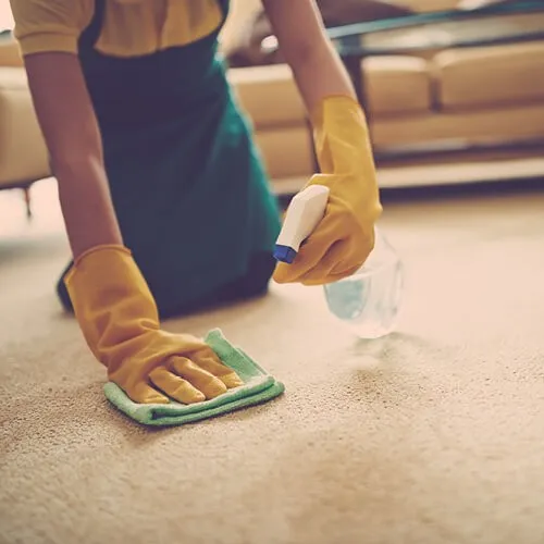 Carpet care | Magic Carpets