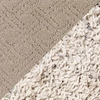 Carpet Carpet