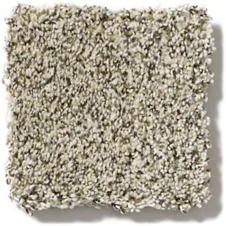 texture Carpet | Magic Carpets